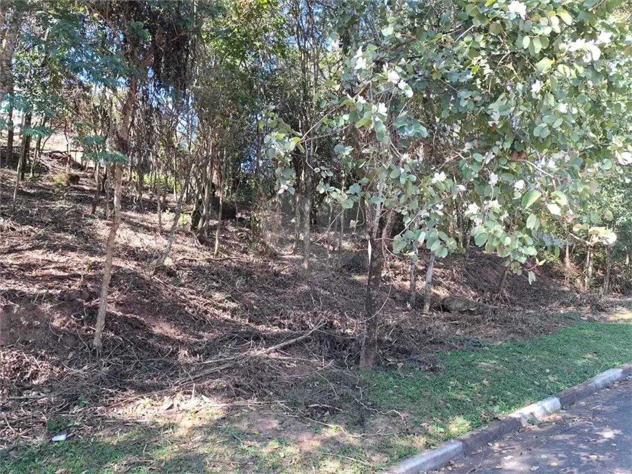 Terreno à venda em Jardim peri - SP - Foto 3