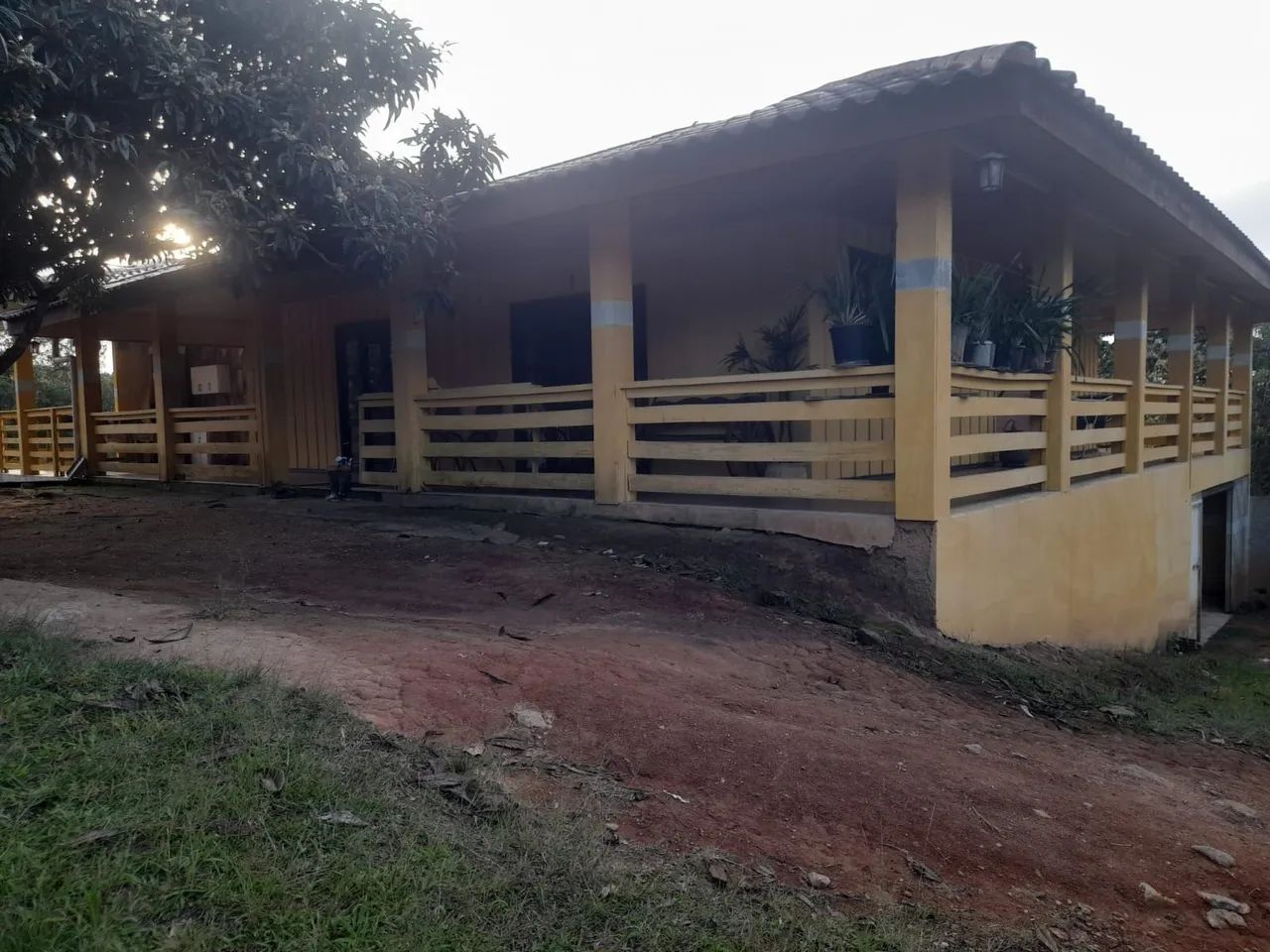 Chácara 3 alqueires em Mandirituba  - Foto 4