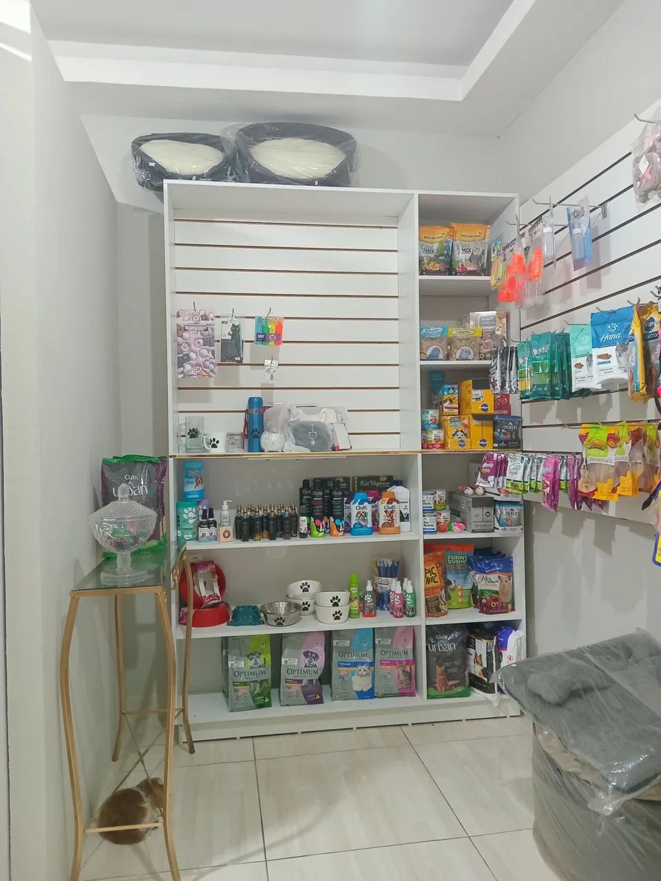 Paparicando Pet - produtos para pet, consulta veterinária - Foto 2