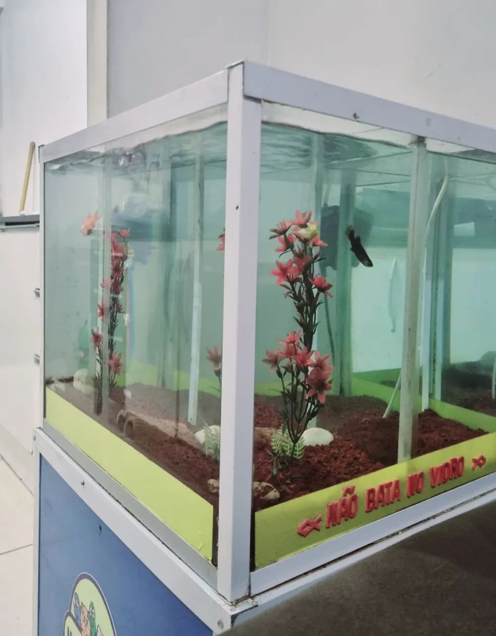 Aquário de Vidro para Peixes - Foto 2