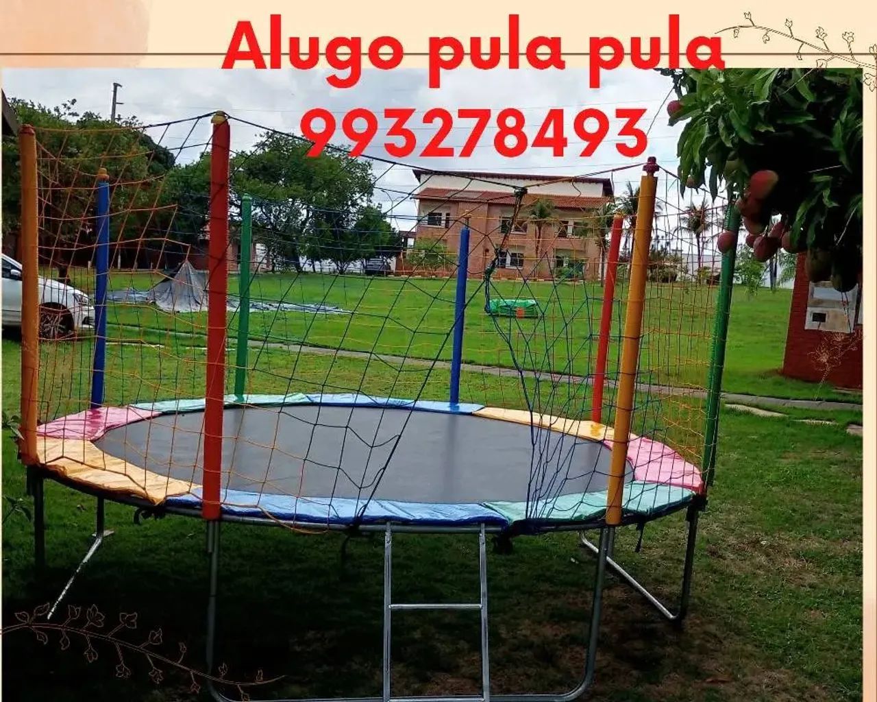Alugo pula pula e pegue monte