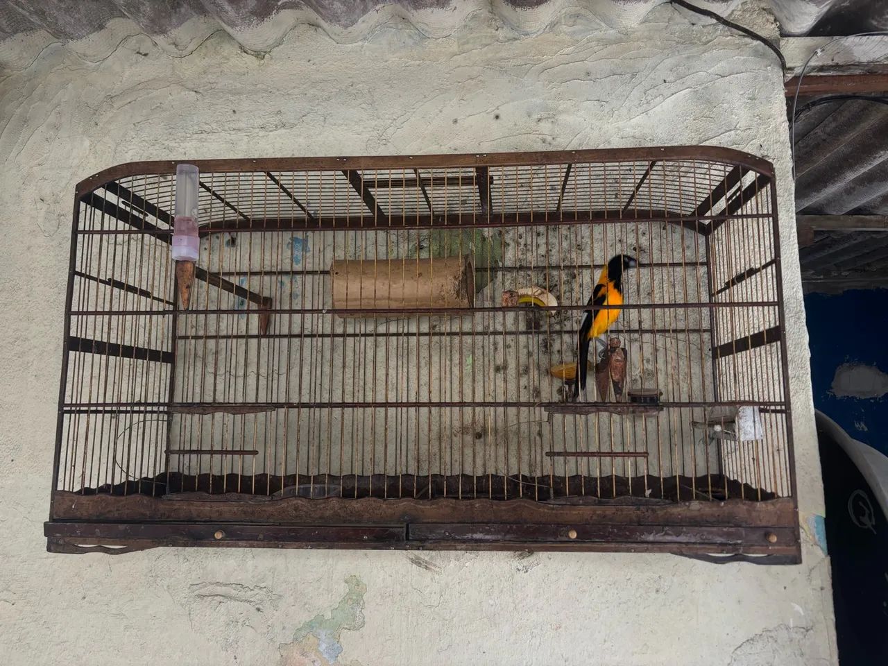 Gaiola  - Foto 2