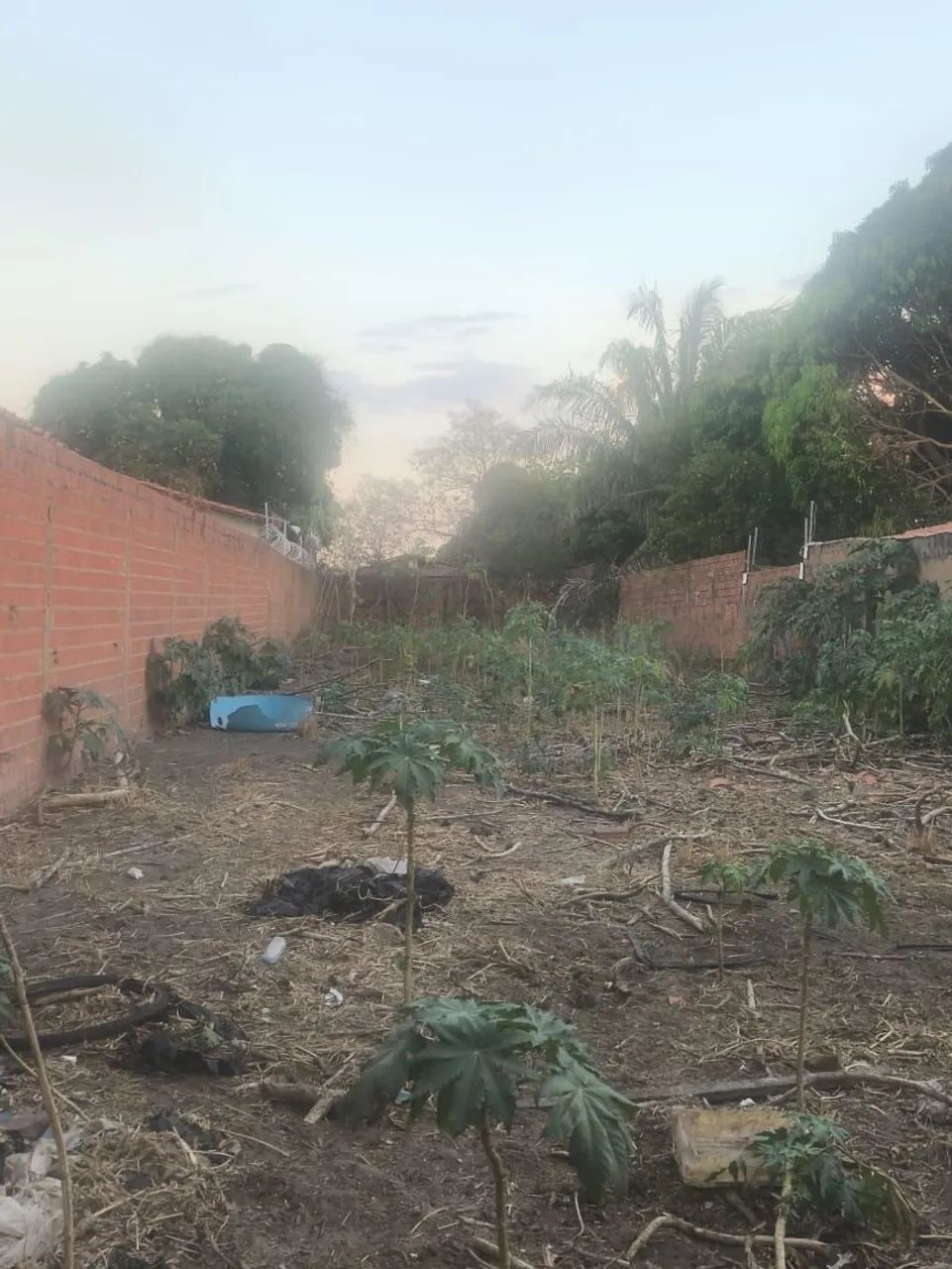 Terreno - Zona Sul  - Foto 2