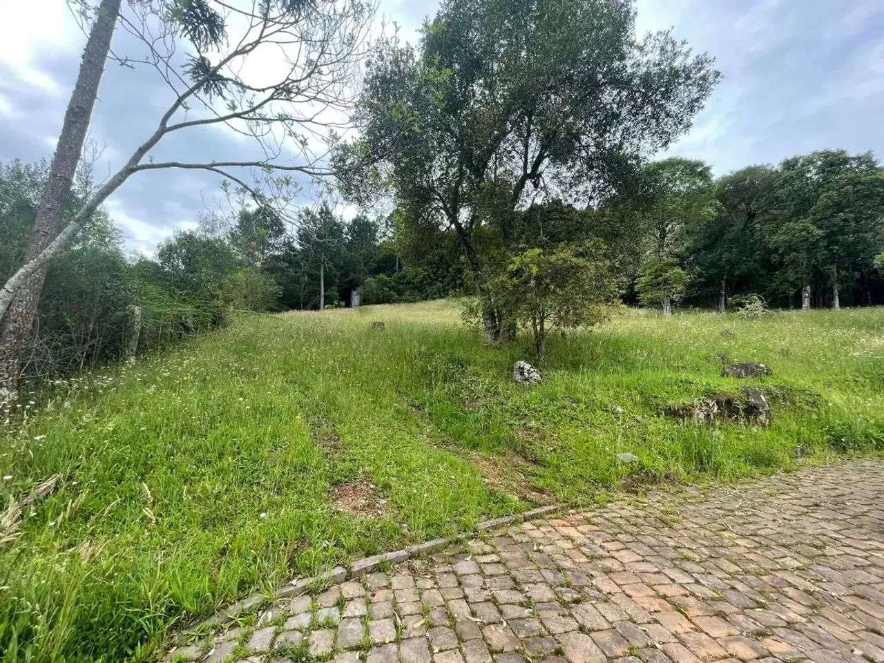 CAXIAS DO SUL - Terreno Padrão - LINHA 40 - Foto 10