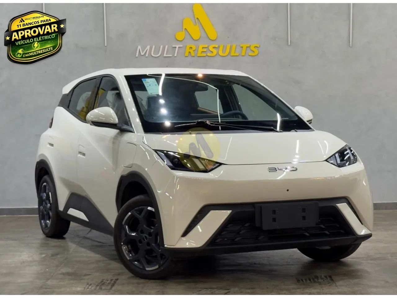 BYD Dolphin Mini (Elétrico) 2027