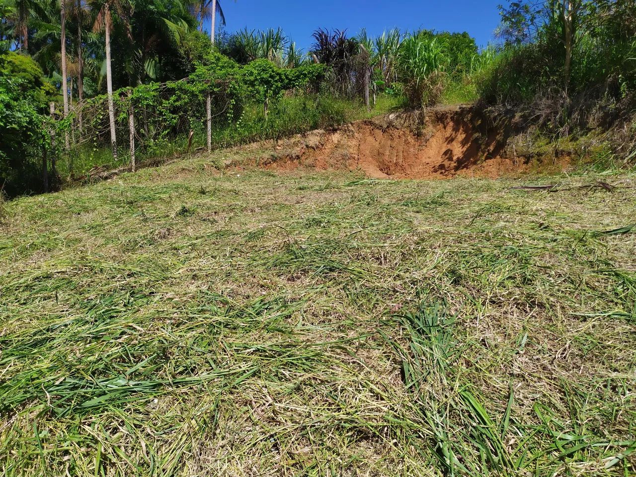 Terreno na Barra  - Foto 5