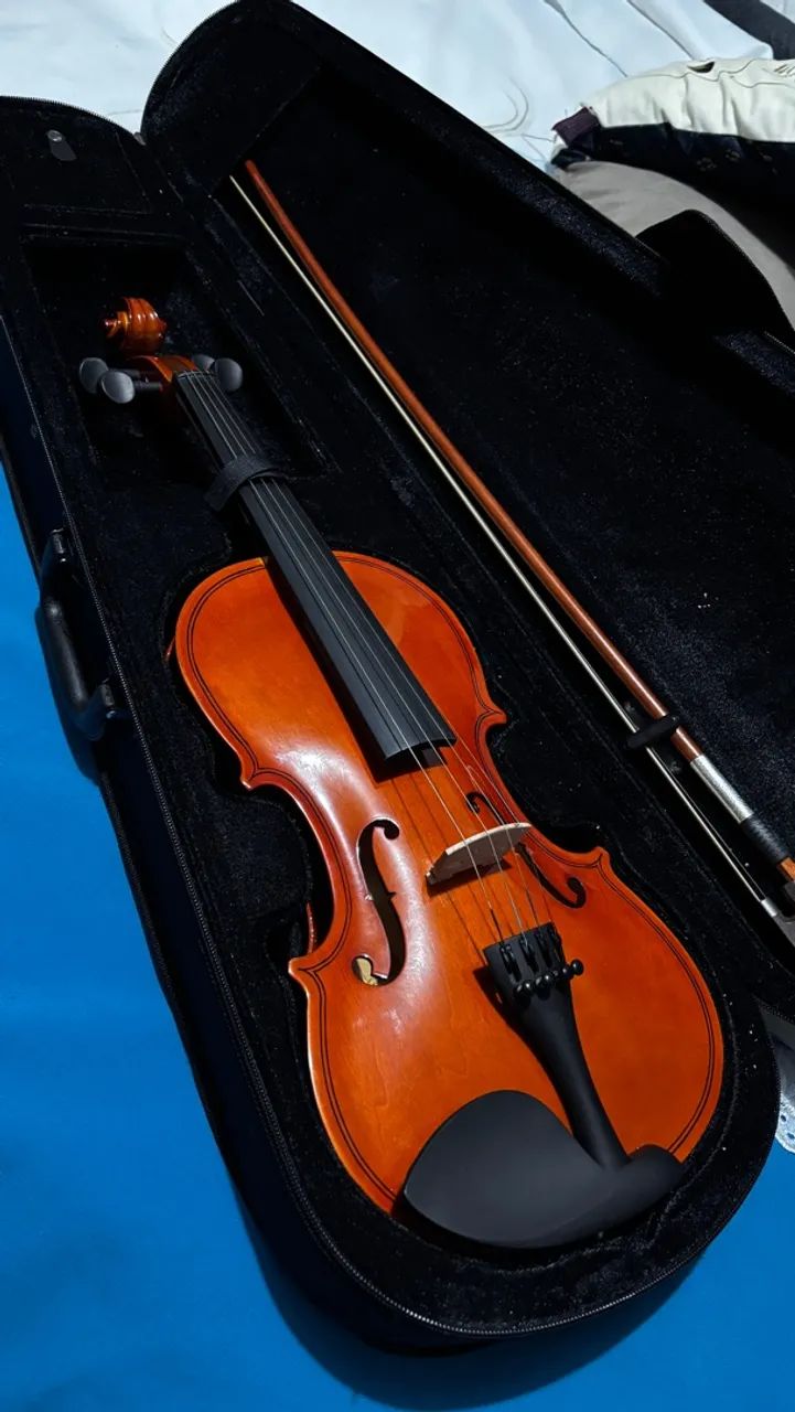 Violino