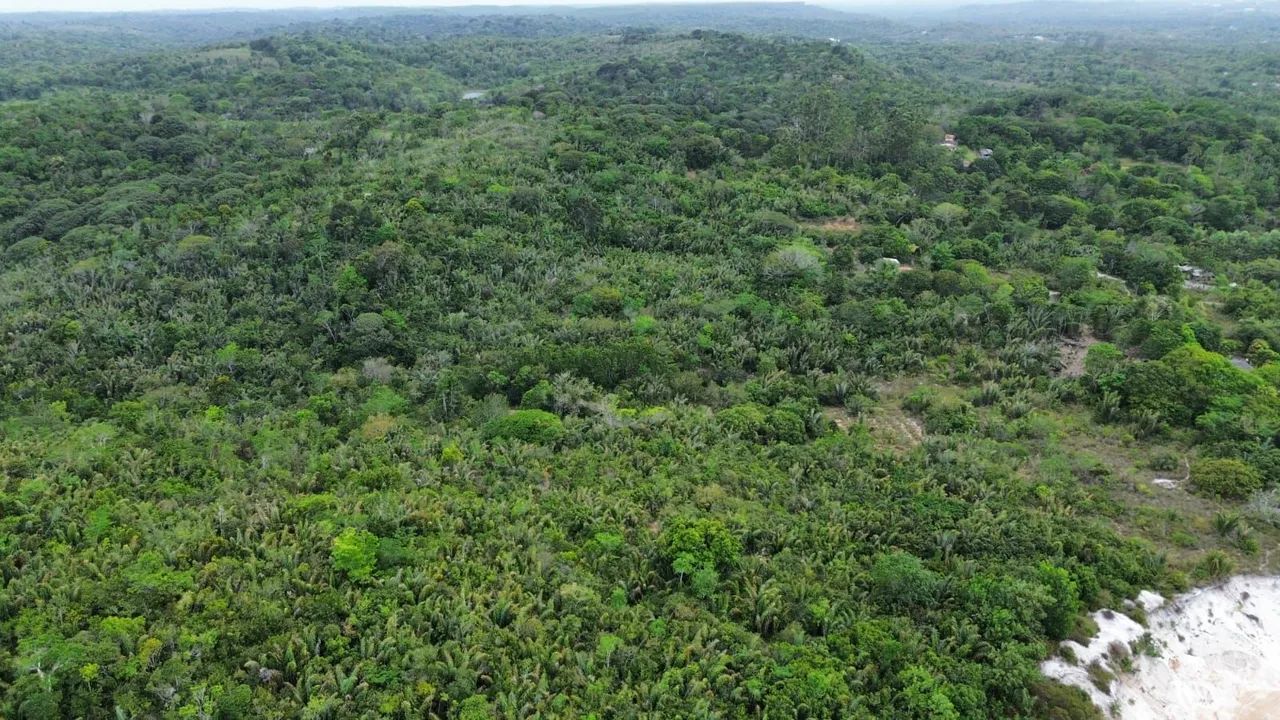 Areal Licençiado - Foto 4