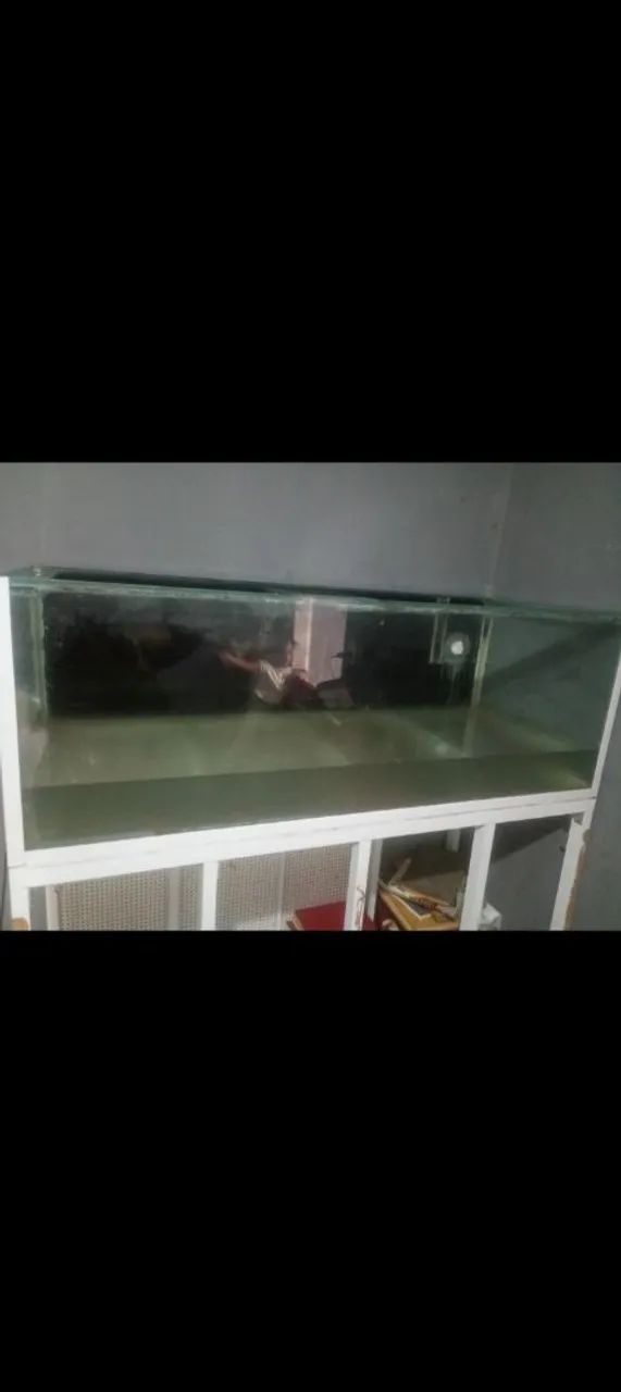 Aquário  - Foto 5