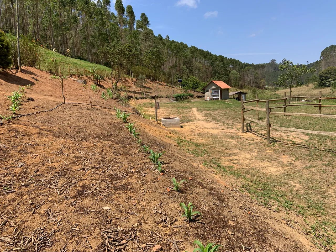 Sítio em Santa Teresa-ES - Foto 4