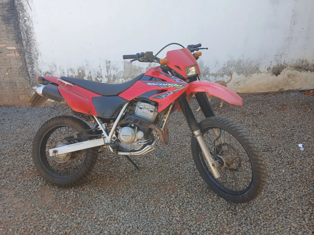 Tornado 250  - Foto 2