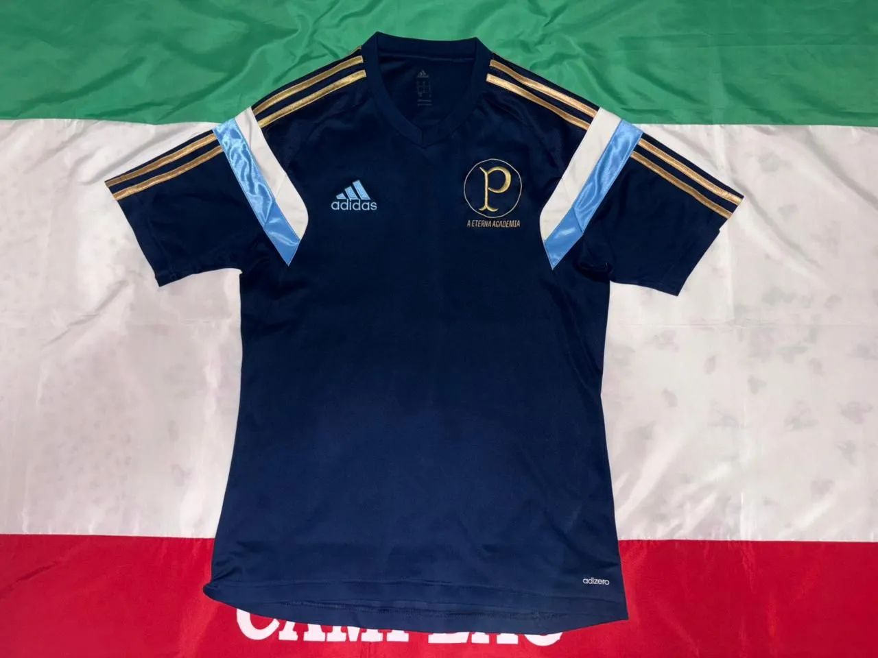 Linda camisa eterna academia Tam P