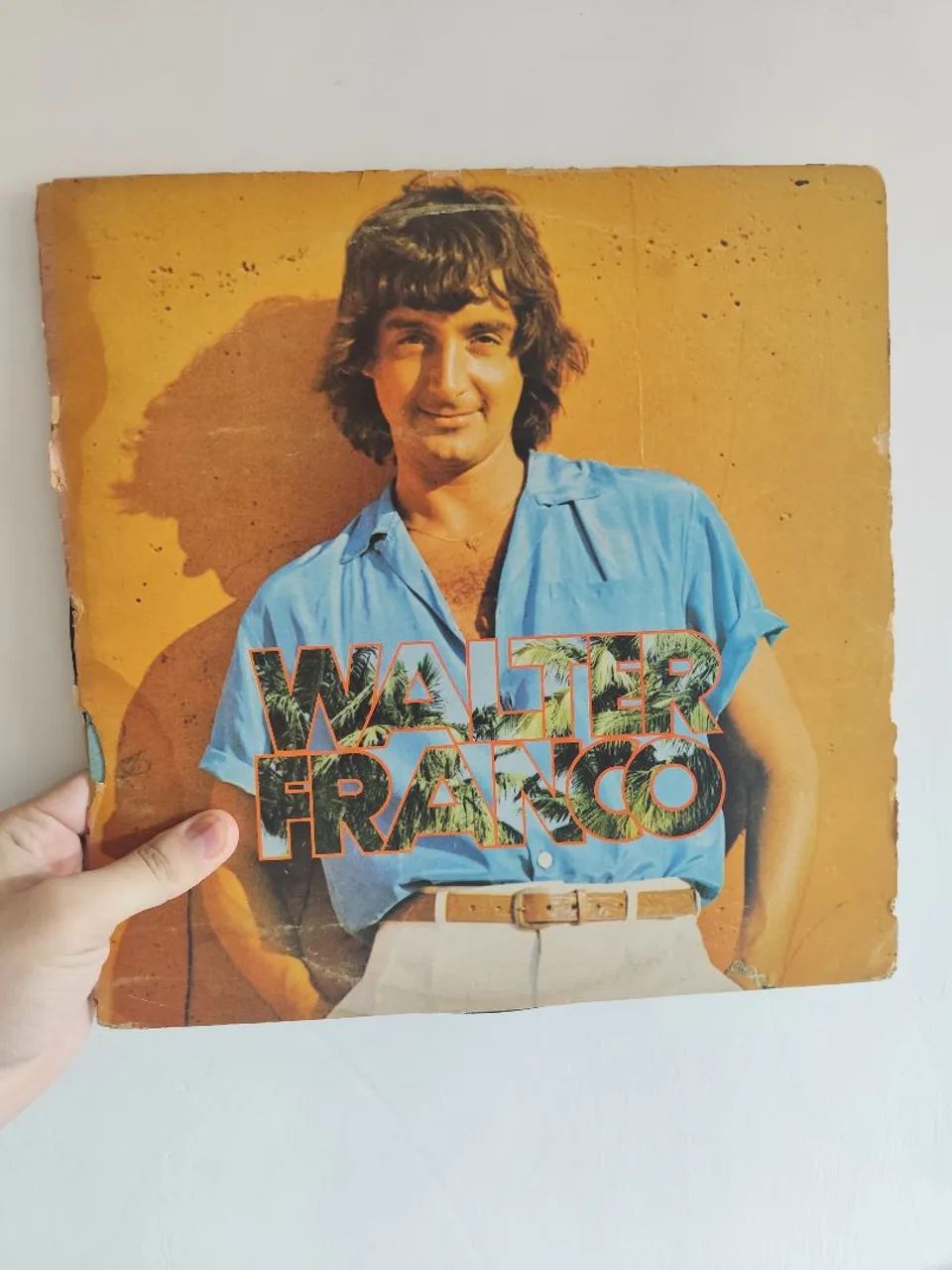 Disco de vinil (LP) - Walter Franco