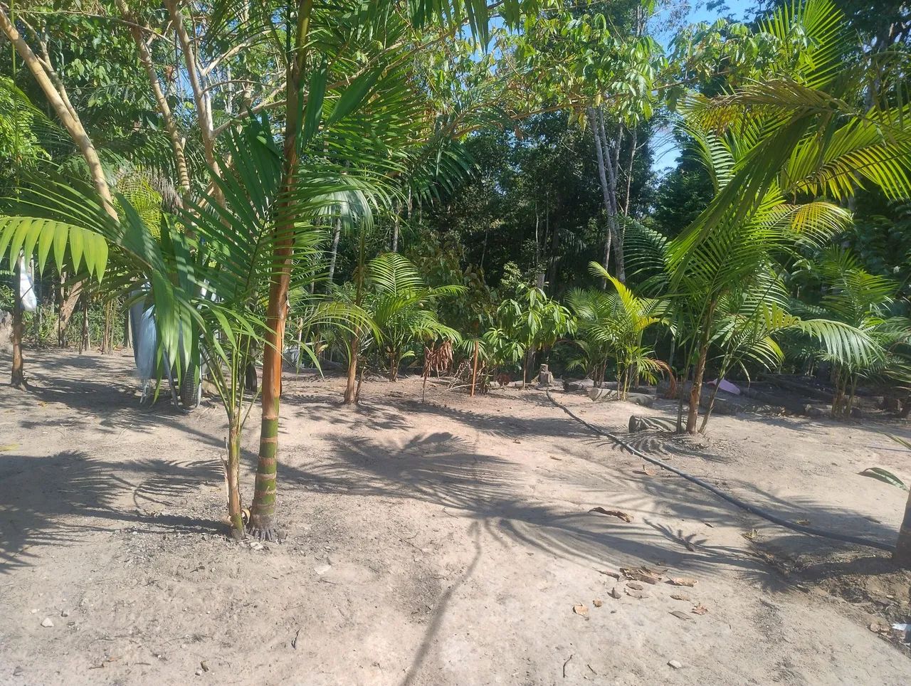 Troco  - Foto 5
