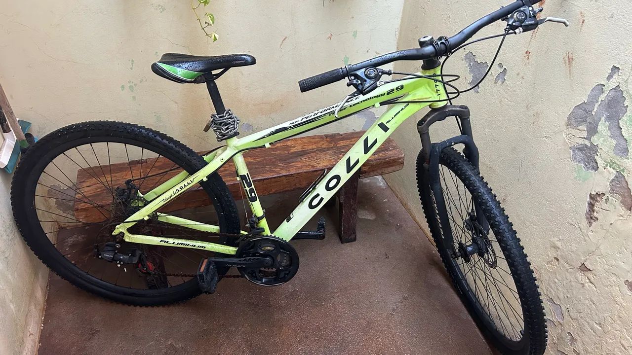 Bicicleta 