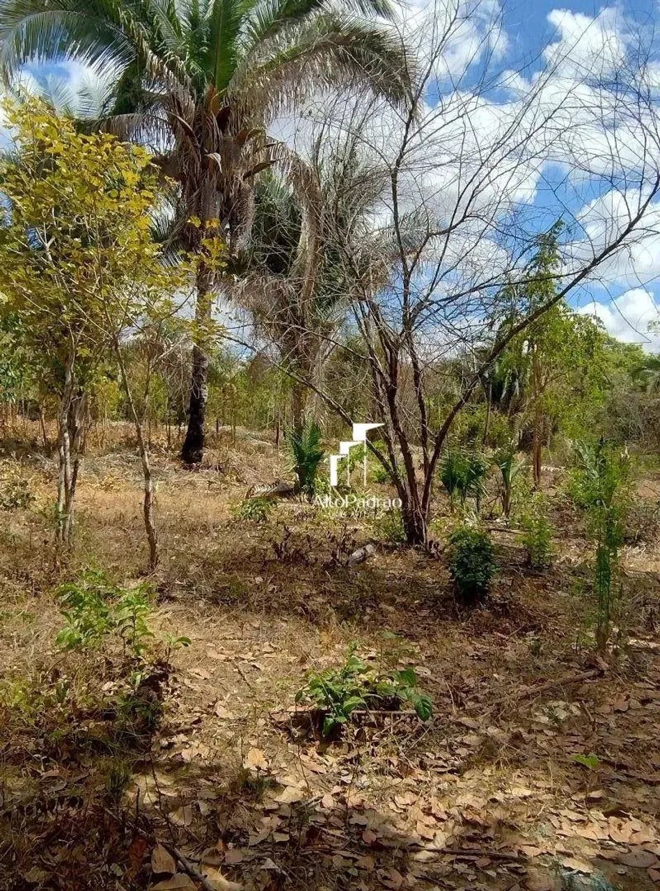 Terreno à venda - Comunidade Glória /MA - Foto 3