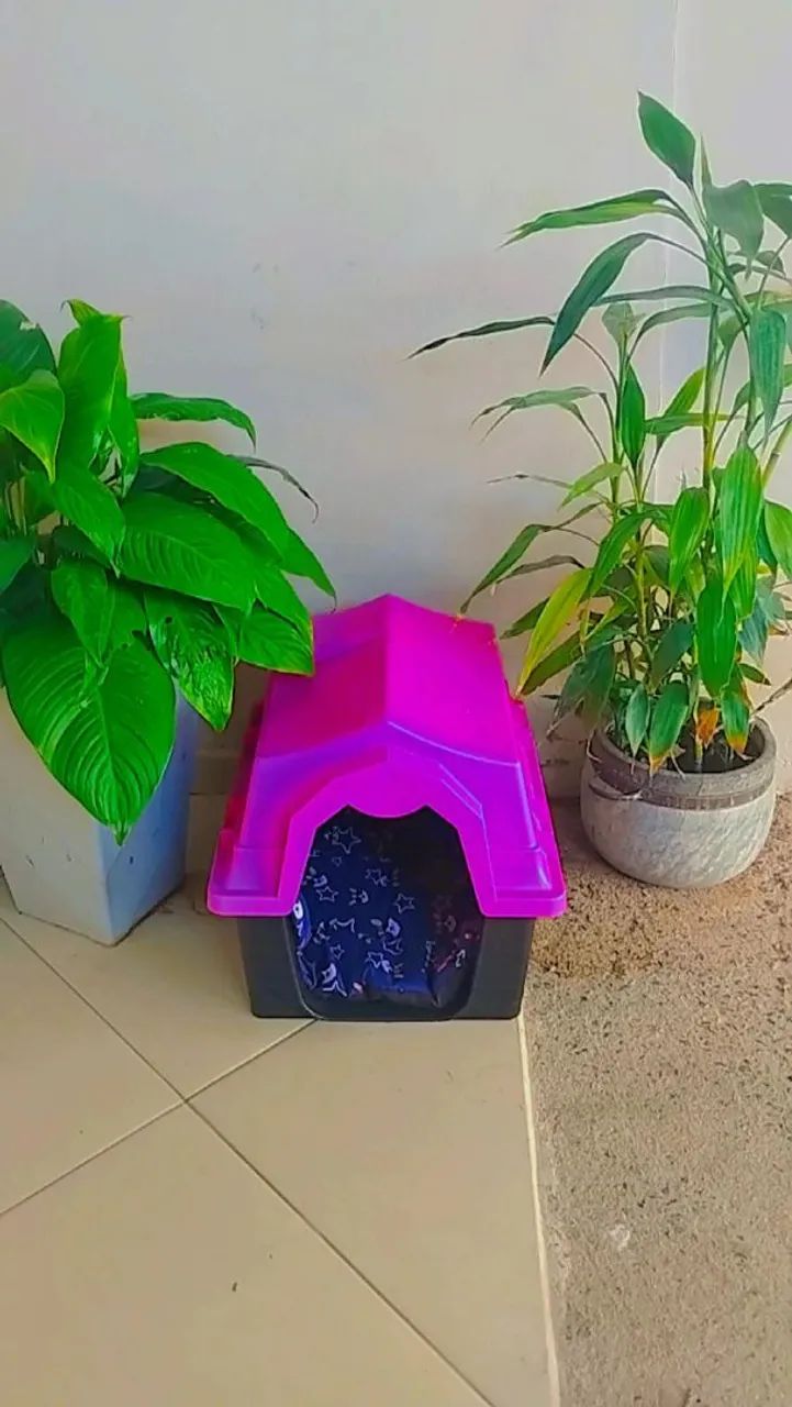 Casinha pet com caminha  - Foto 4