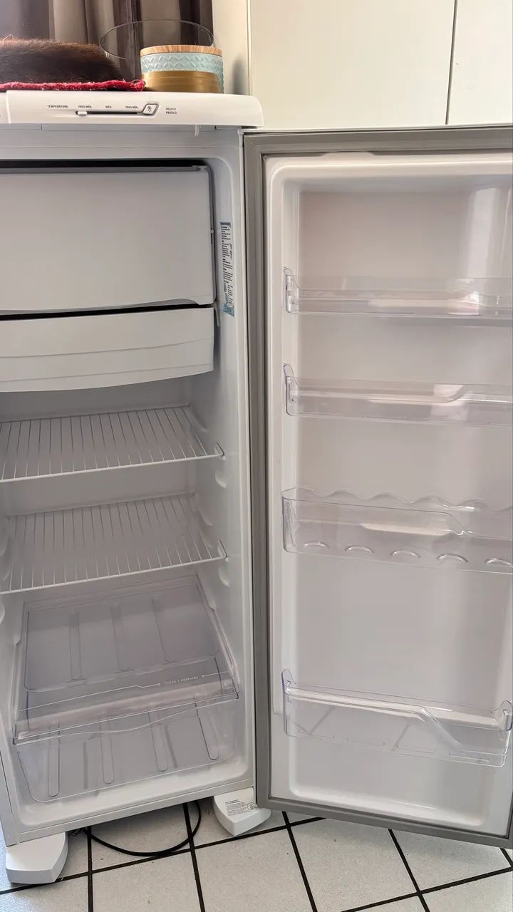 Geladeira Electrolux RE31 - Foto 5
