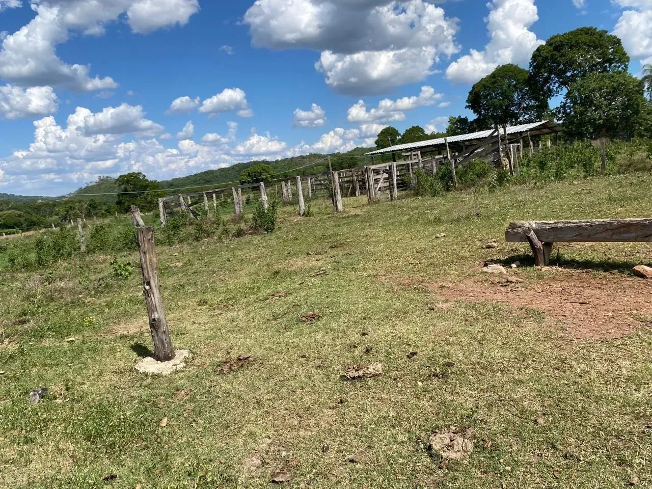 Sítio em Goianésia GO - 5 Alqueires - Foto 4