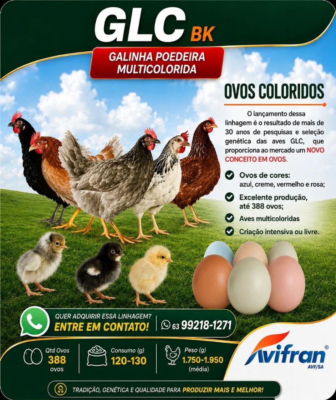 Caixa de pintinhos 100 unidades.