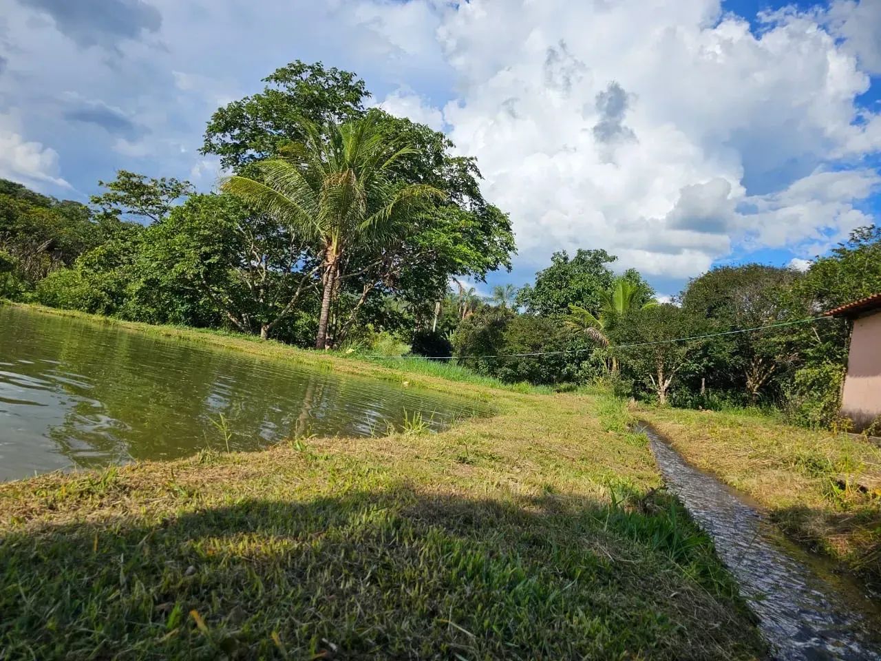 Fazenda 5.5 Alqueires - Foto 3