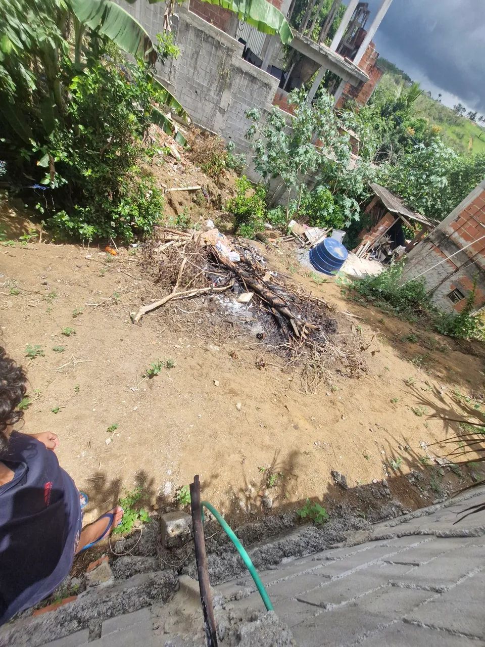 Foto - Cariacica - Tucum