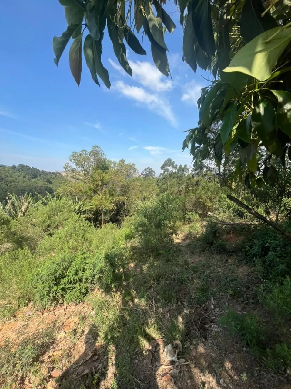 Terreno em itapevi  - Foto 4