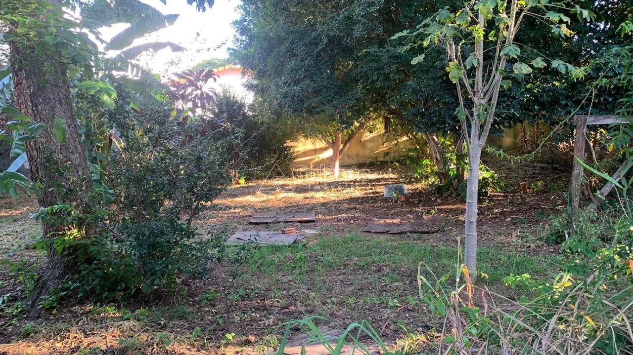 terreno - Chácara Primavera - Campinas