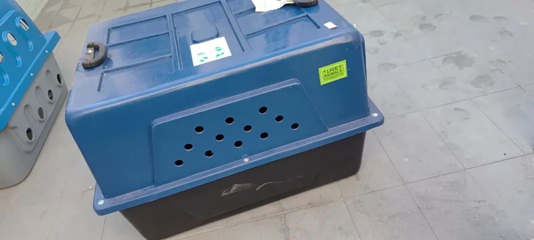 Caixa para transporte aereo Pet - Foto 5