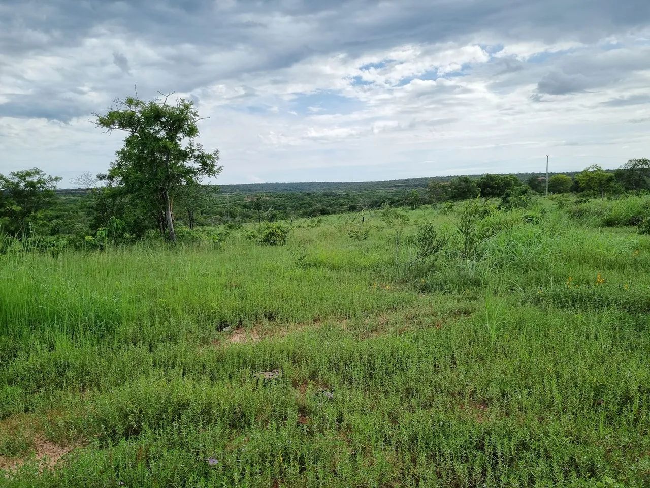 Fazenda barata em Urucuia MG 