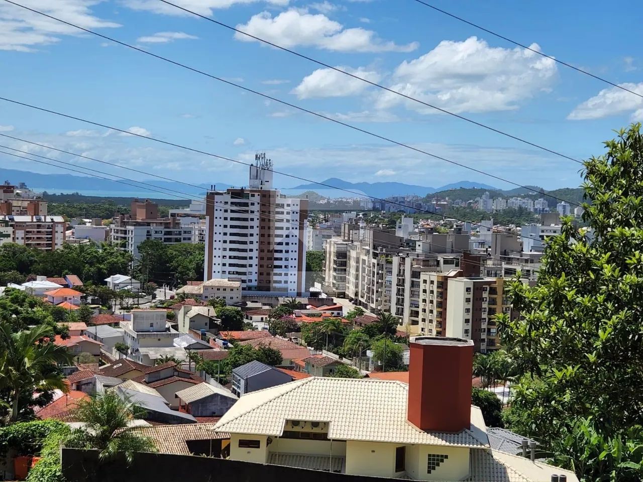 Terreno, 2.365m² - Córrego Grande - Florianópolis/SC - Foto 3