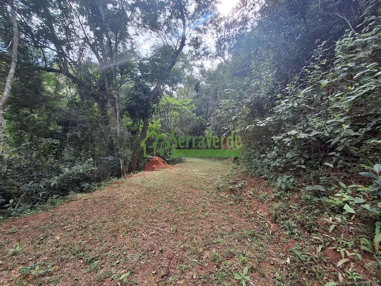 AREAL - AMPLO TERRENO COM APROXIMADAMENTE 76.000M² - Foto 3