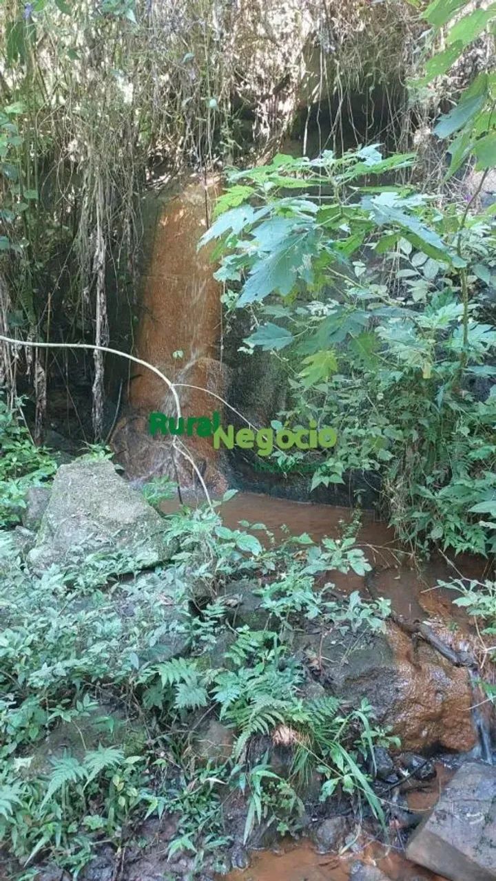 TERRENO PARA FORMAR CHÁCARAS EM SÃO LUIZ DO PARAITINGA-SP - Foto 5