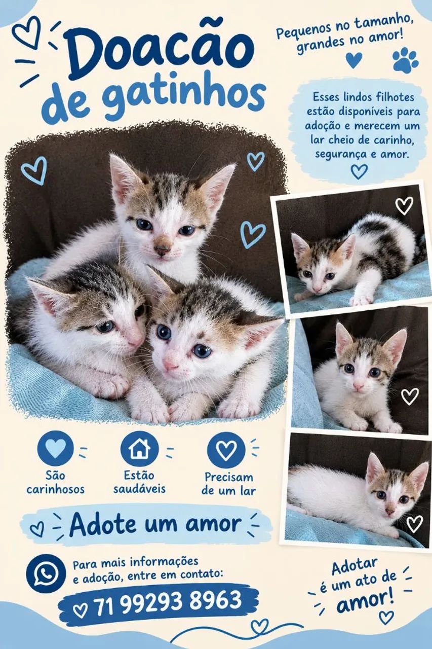 Adoção 