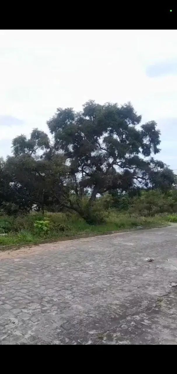 Repasso Terreno 