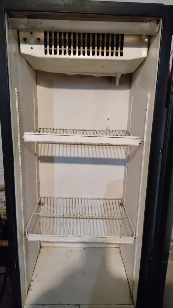 Freezer vertical 