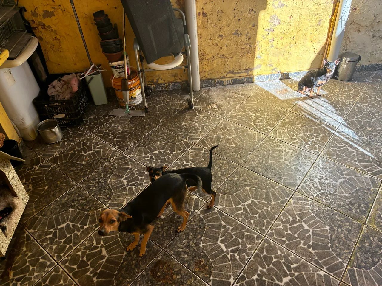 Doação  - Foto 2