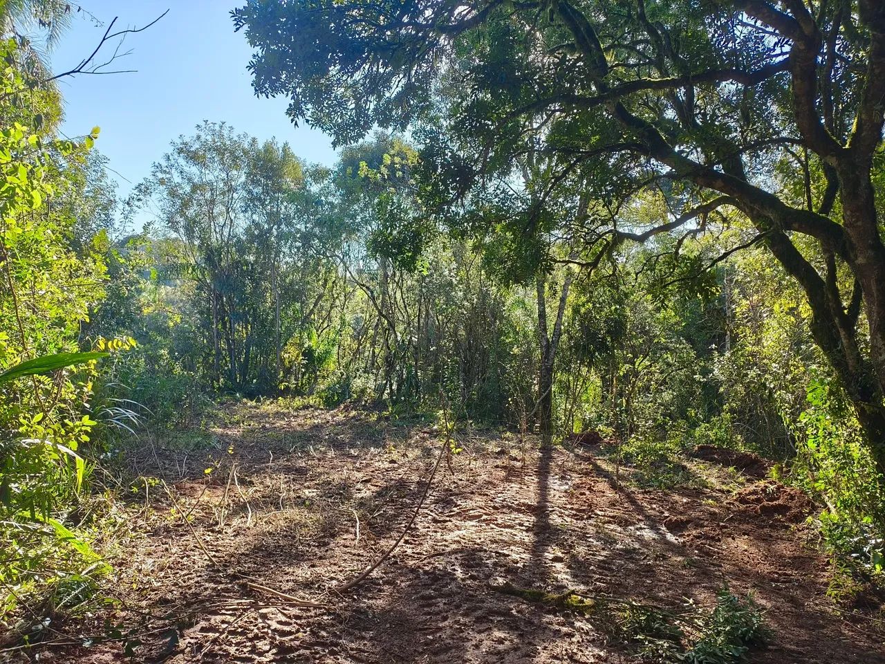 Terreno  - Foto 4