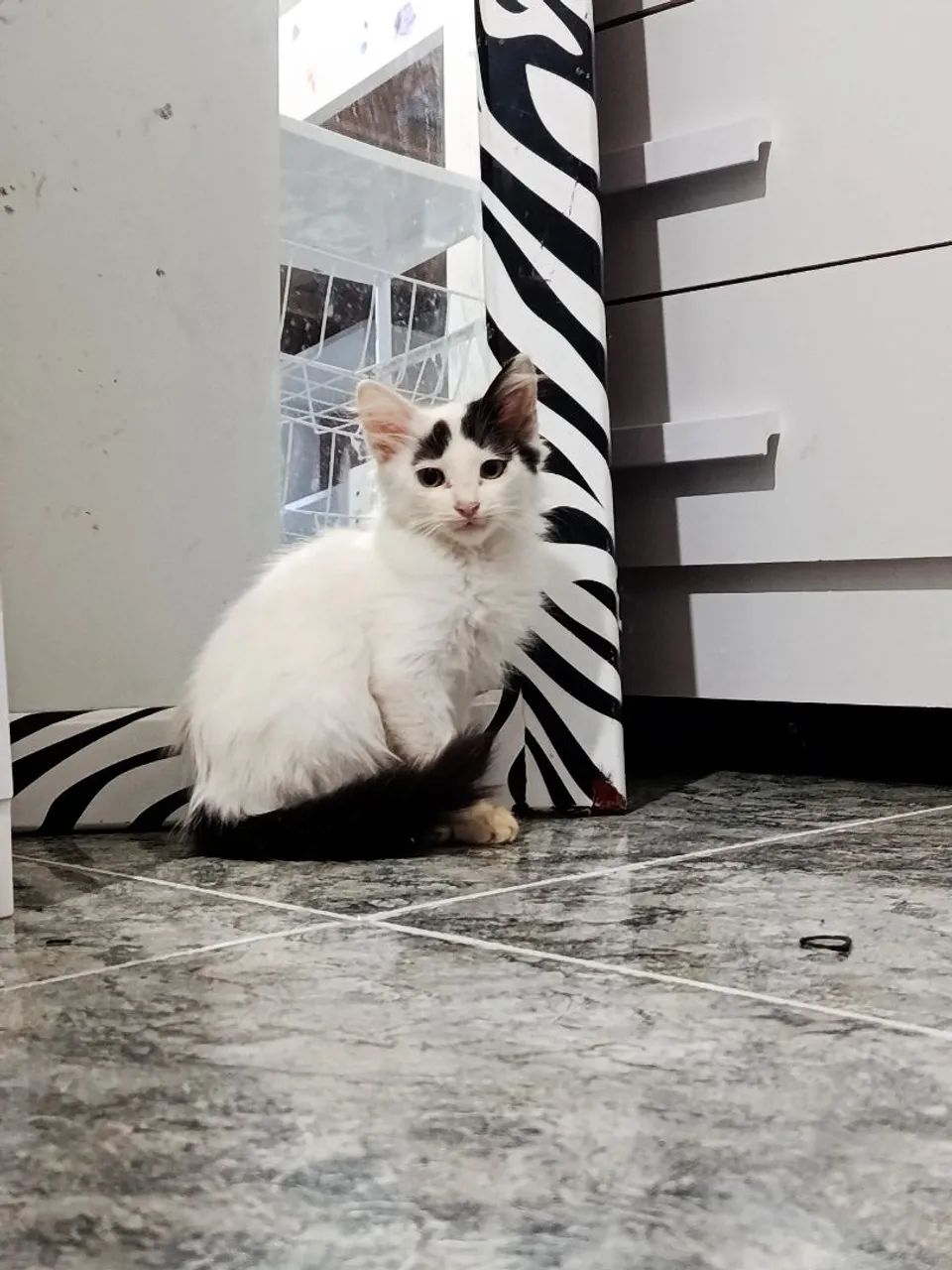 Doação  - Foto 2