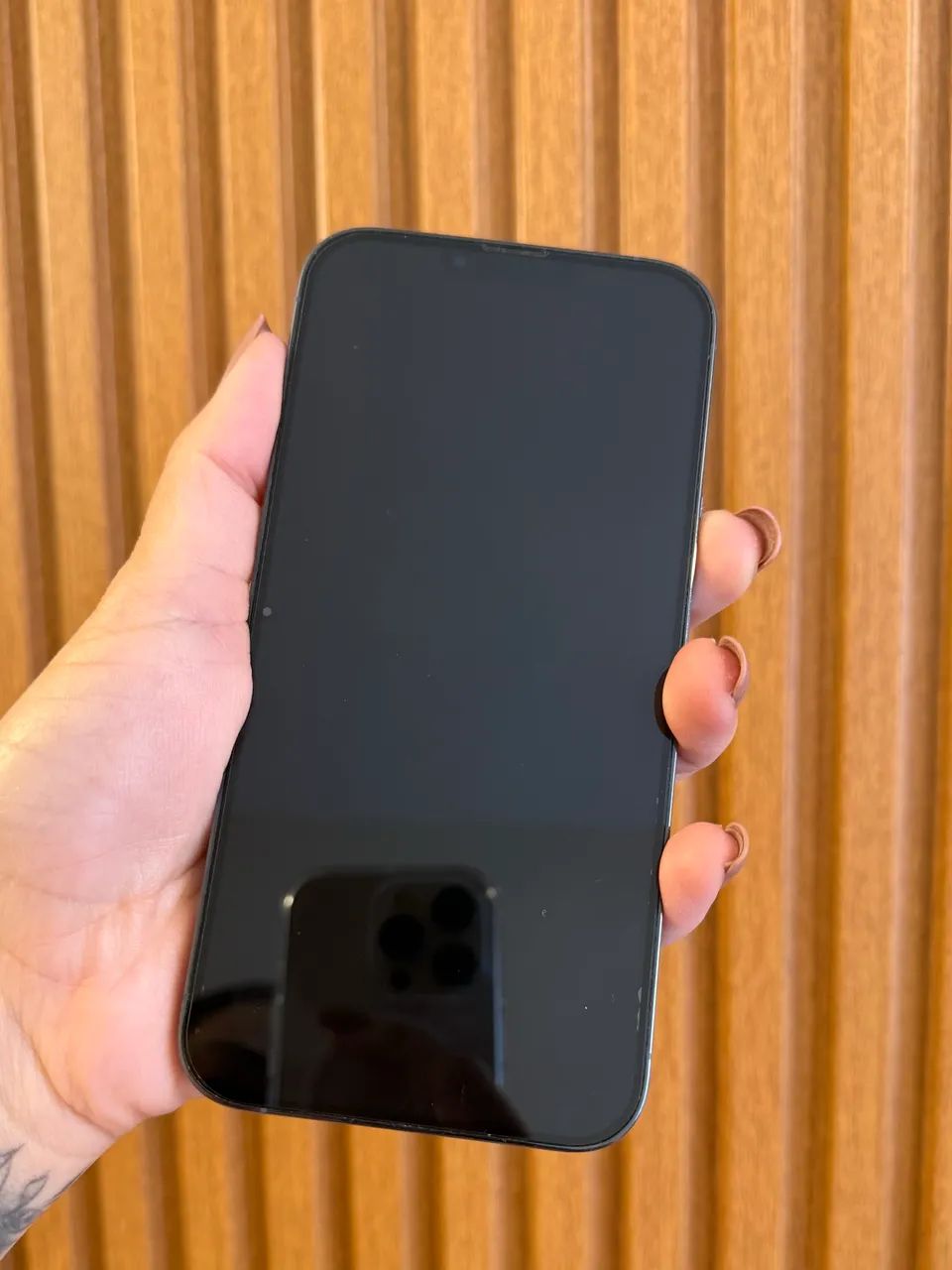 iPhone 13 Pro Max