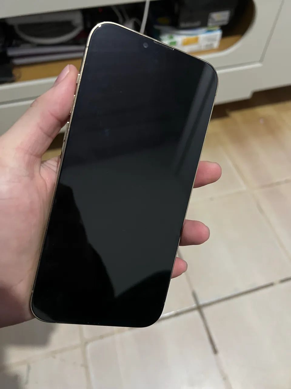 iPhone 13 Pro Max 256gb - Celulares e Smartphones - Marajoara