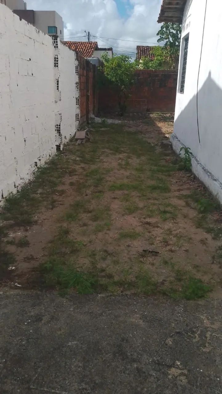 Limpezas de terrenos   - Foto 4