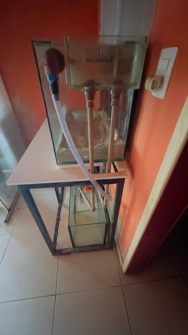Aquário  - Foto 5