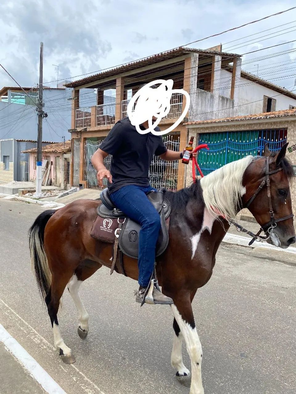 cavalo mangalarga ótima qualidade  - Foto 2