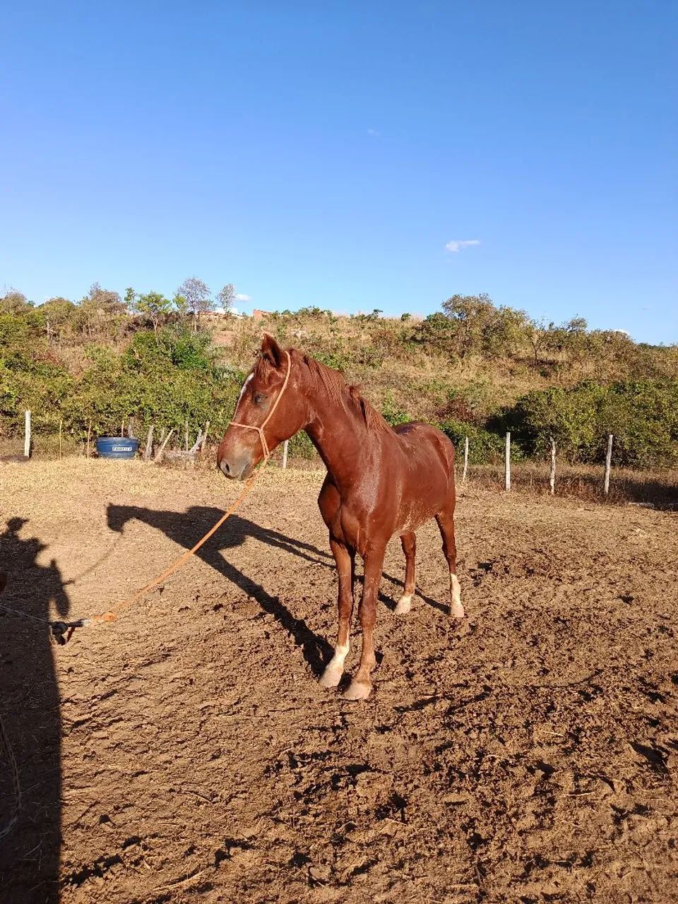 vendo ou troco  - Foto 4