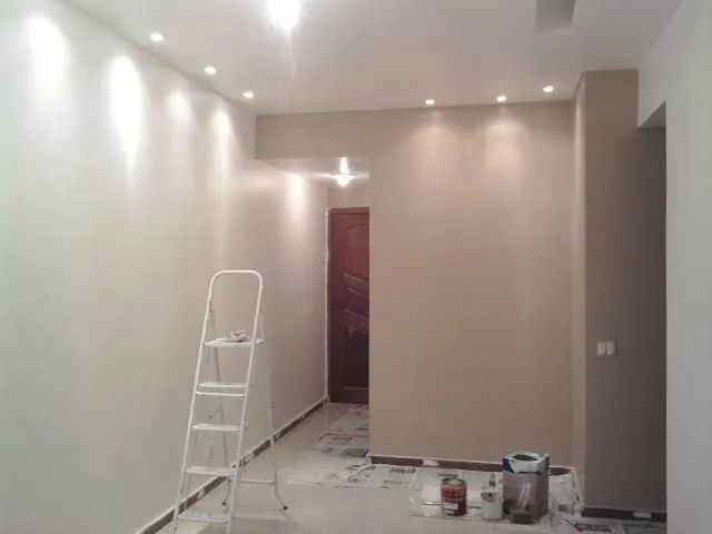 Sou pintor profissional  - Foto 3