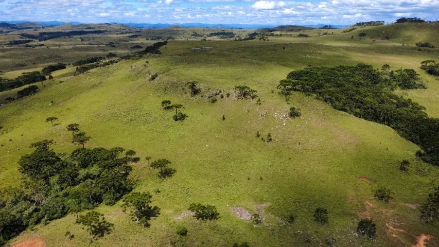 Foto - Lages - Área Rural de Lages
