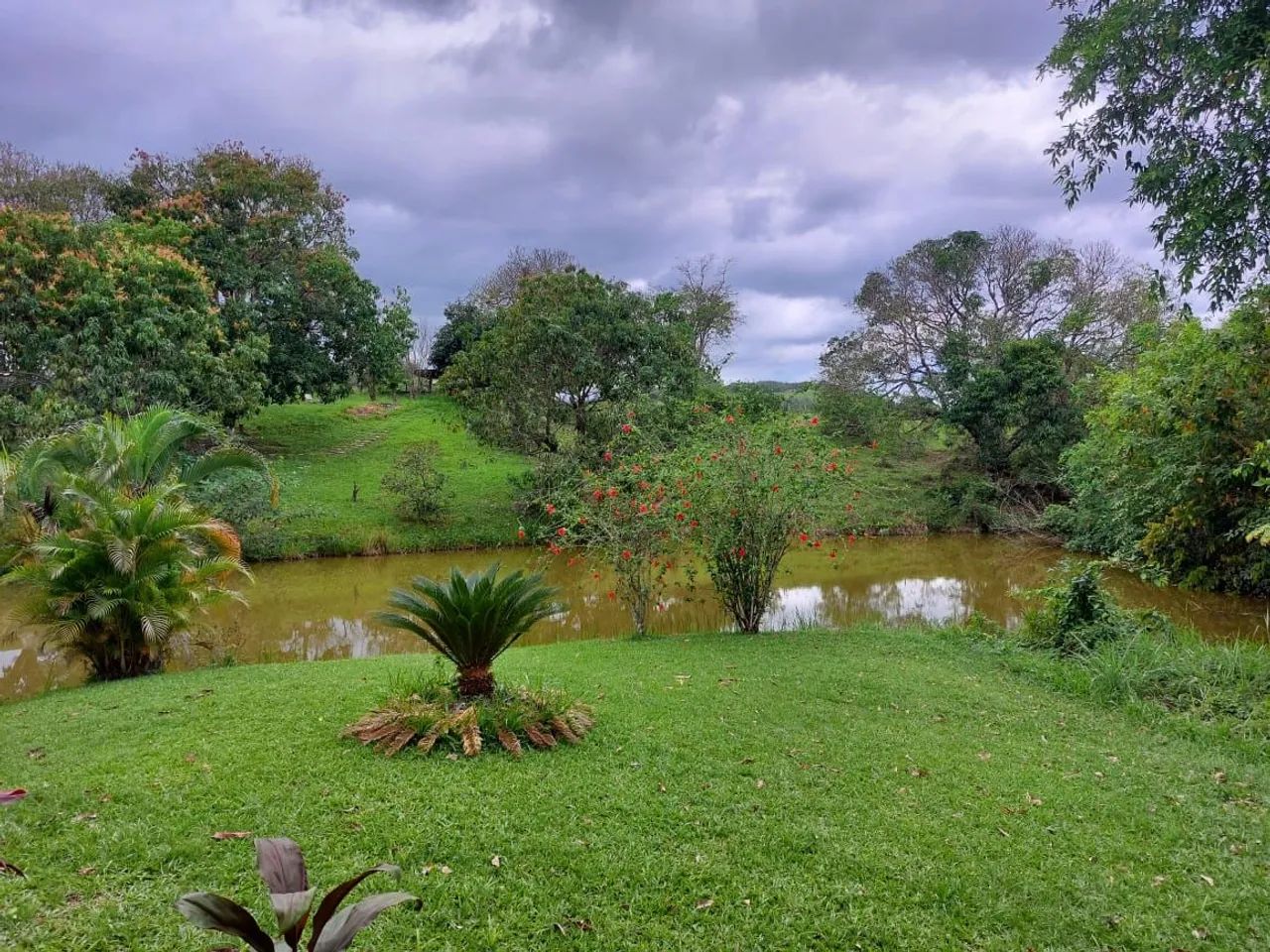 Sitio com lago natural com criação de Tilápias em Itaborai