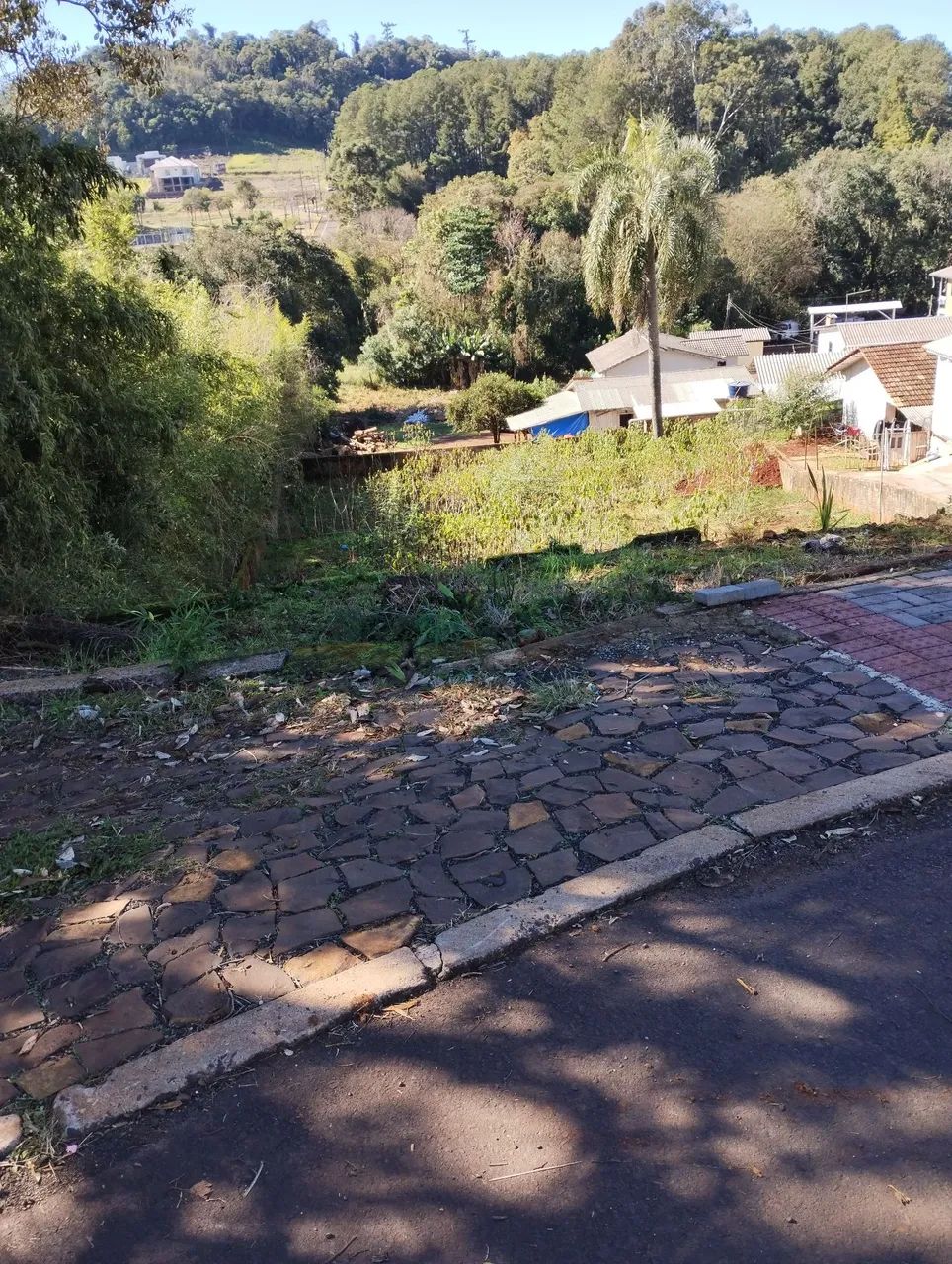 Vendo lote na avenida  - Foto 2