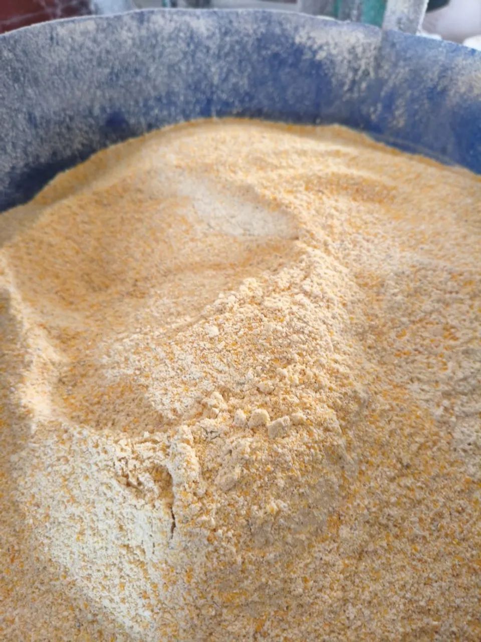 Venda de Milho e Fubá direto do produtor. Produto 2026, alta qualidade e sem cheiro! - Foto 3